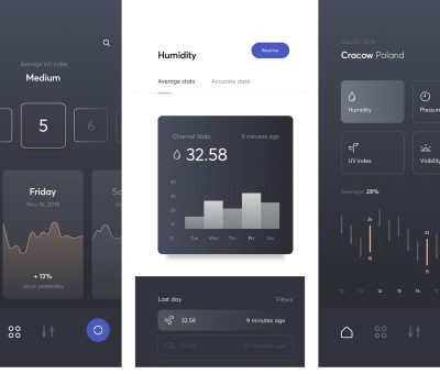 multifunctional-weather-concept-app-ui